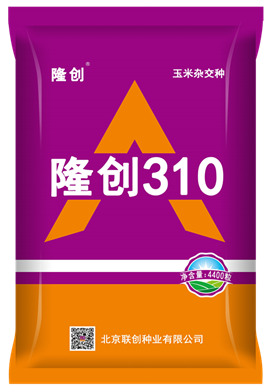 隆創(chuàng  )310