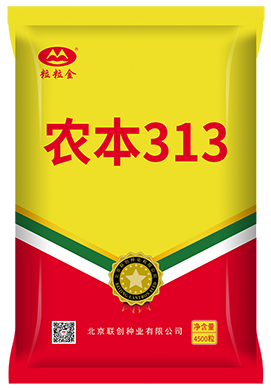 農本313